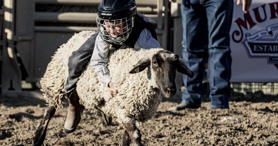 Rodeo Roundup: Crowd-pleasing Mutton Bustin' Event Returns to the World's Oldest Rodeo | Local News - Vimarsana News