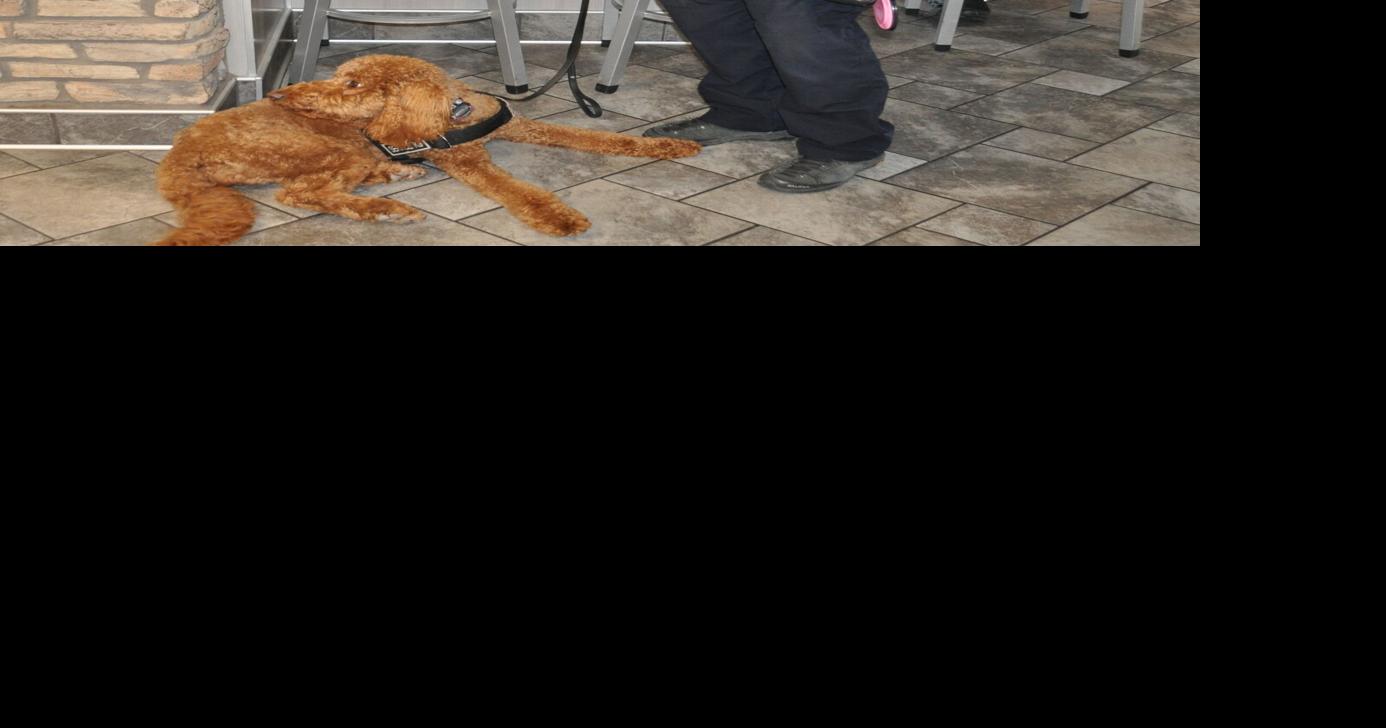Police work at 'parenting' a highly-trained pooch