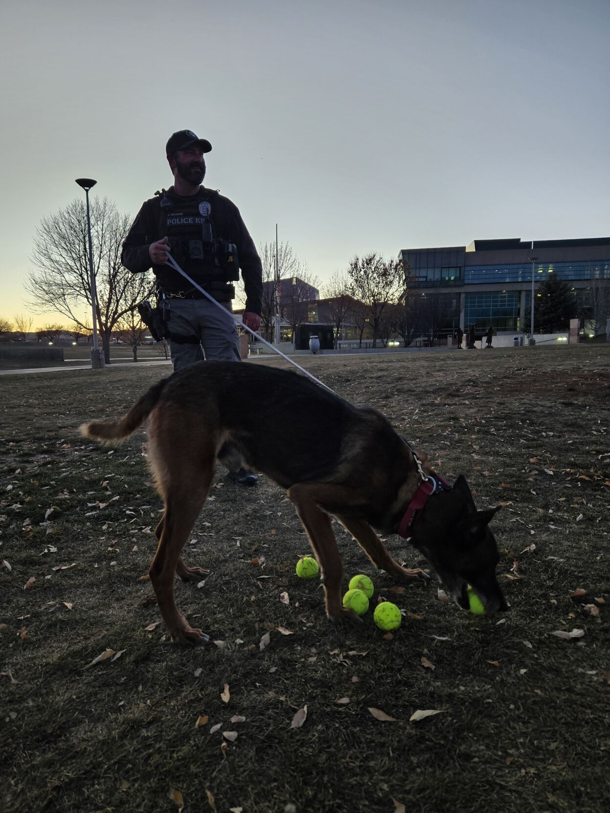 Prescott Valley Police salute K-9 retirees with ceremony, tennis ball ...