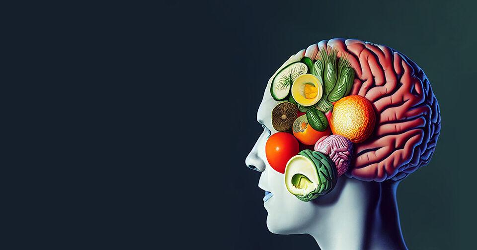 Food for thought: How diet affects the brain over a lifetime | Healthcare Focus Food for thought: How diet affects the brain over a lifetime | Healthcare Focus