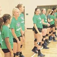 Embry-Riddle volleyball settling into cozier digs at refurbished Eagle ...
