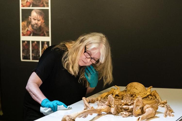 Skeletons of related Viking-era men to reunite for exhibit | Odd ...