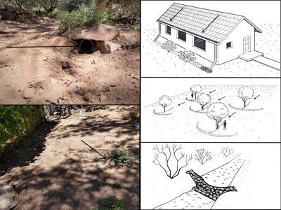 Image showcasing Backyard Gardener: Passive rainwater harvesting for your backyard ...