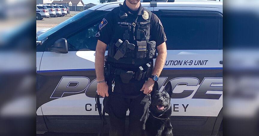 Chino Valley in Brief: CVPD introduces newest officer and K9 Sirius ...