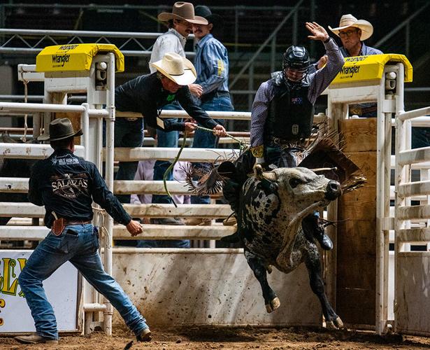 Picture This: Bull riding takes over Findlay Toyota Center at Mile High ...