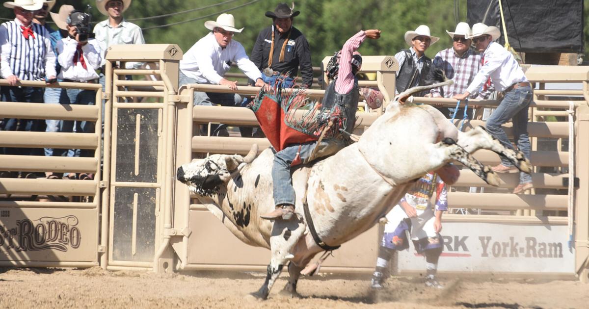 'World's Oldest Rodeo' results - after Day 4 - 2023 | Sports | dcourier.com