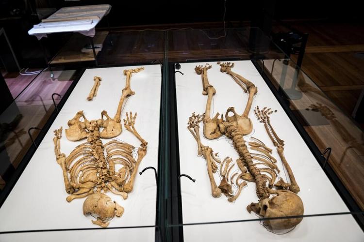 Skeletons of related Viking-era men to reunite for exhibit | Odd ...