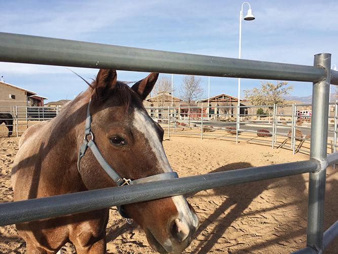 New reports criticize Arizona’s charter schools News