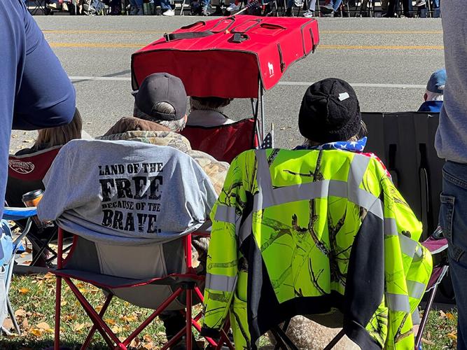 Veterans day 2024 bank observed