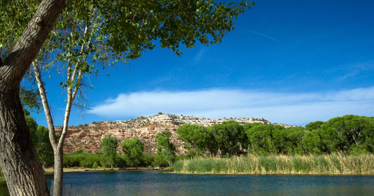 Moore: Fantastic, Awesome, Amazing Birding at Dead Horse Ranch State ...