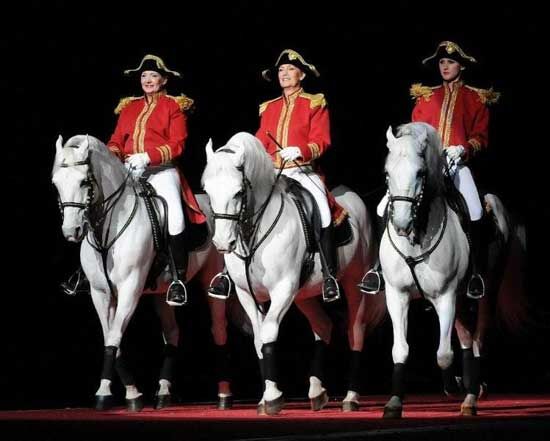 Photo Gallery: The World Famous Lipizzaner Stallions | Photo Galleries ...