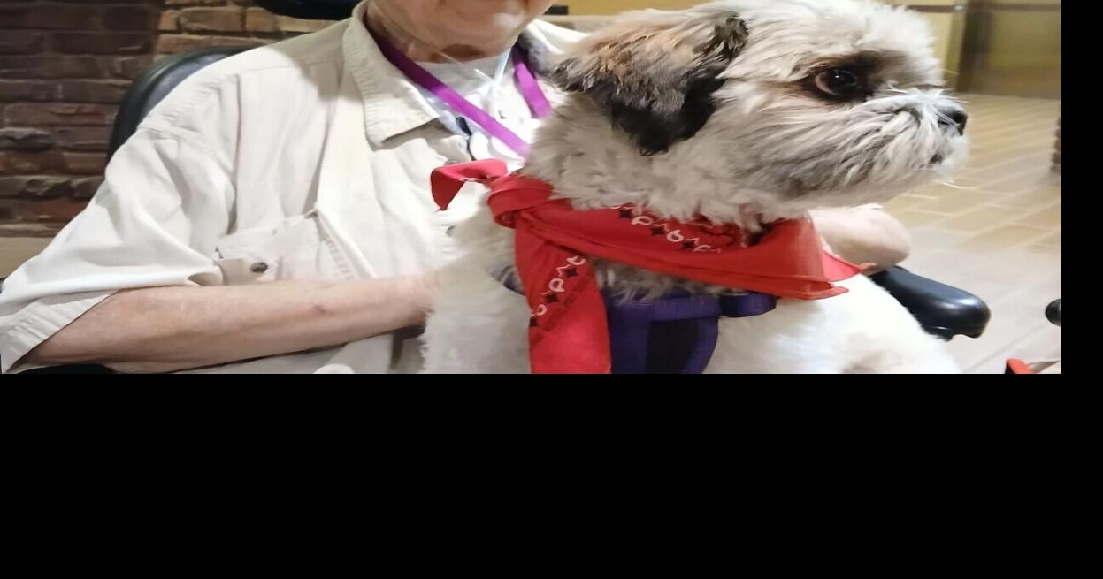 Government funds for seniors, or for developers?