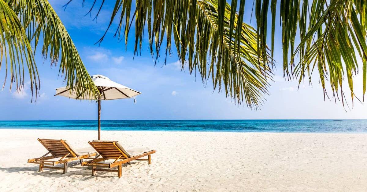 Another travel company shuts down, all trips off