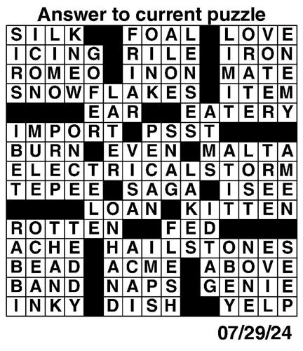 Crossword puzzles for Week of July 28 2024 Multimedia dcourier com