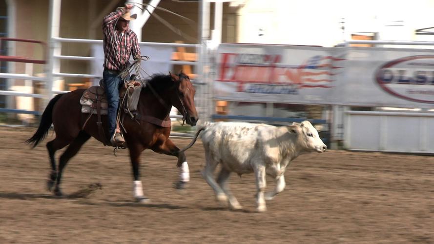 Olsen’s Equifest continues this weekend at Prescott Rodeo Grounds