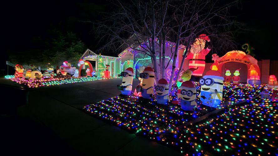 Prescott valley christmas tree license