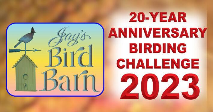 Birding: Update on 2023 Birding Challenge competition | Features ...