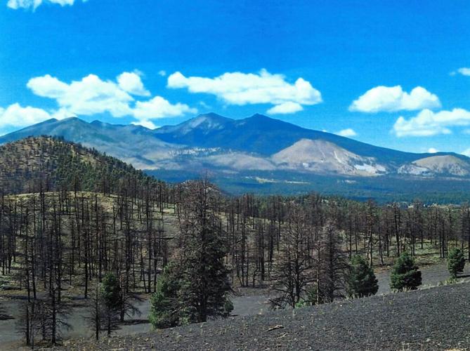 Hiking Arizona: Sunset Crater | Sports | dcourier.com