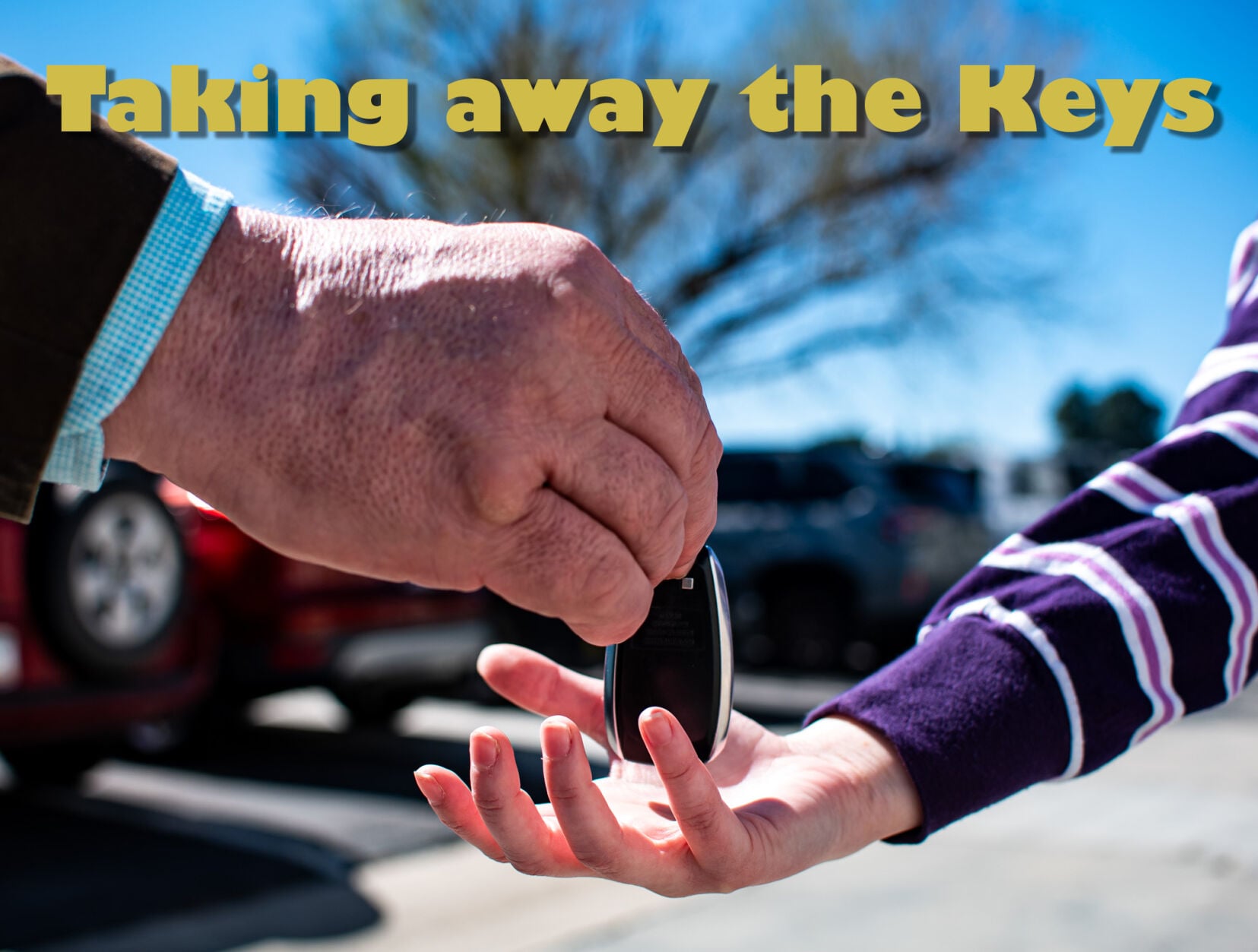 License revoked? Get down to Phoenix for a medical driving evaluation ...