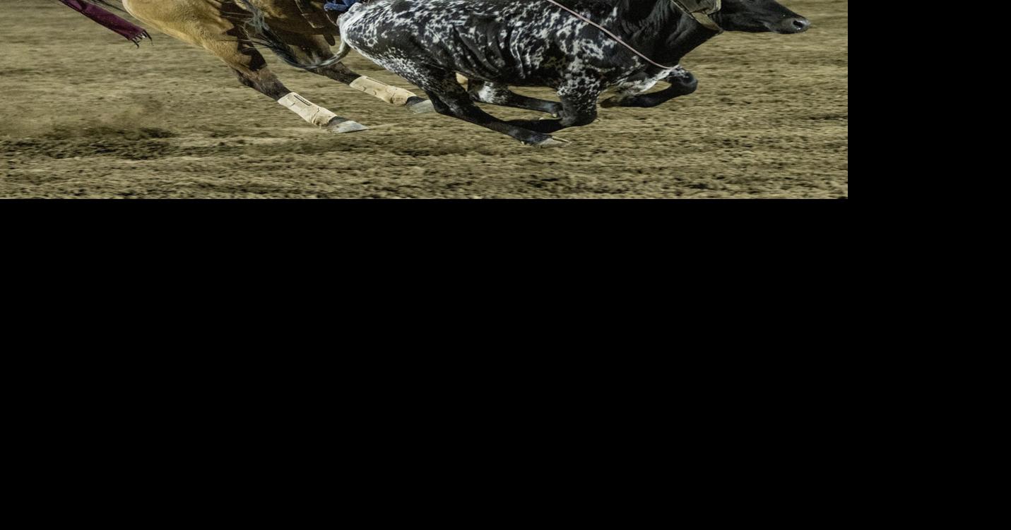Rodeo Roundup: Preview of 2026 events at Prescott Rodeo Grounds ...