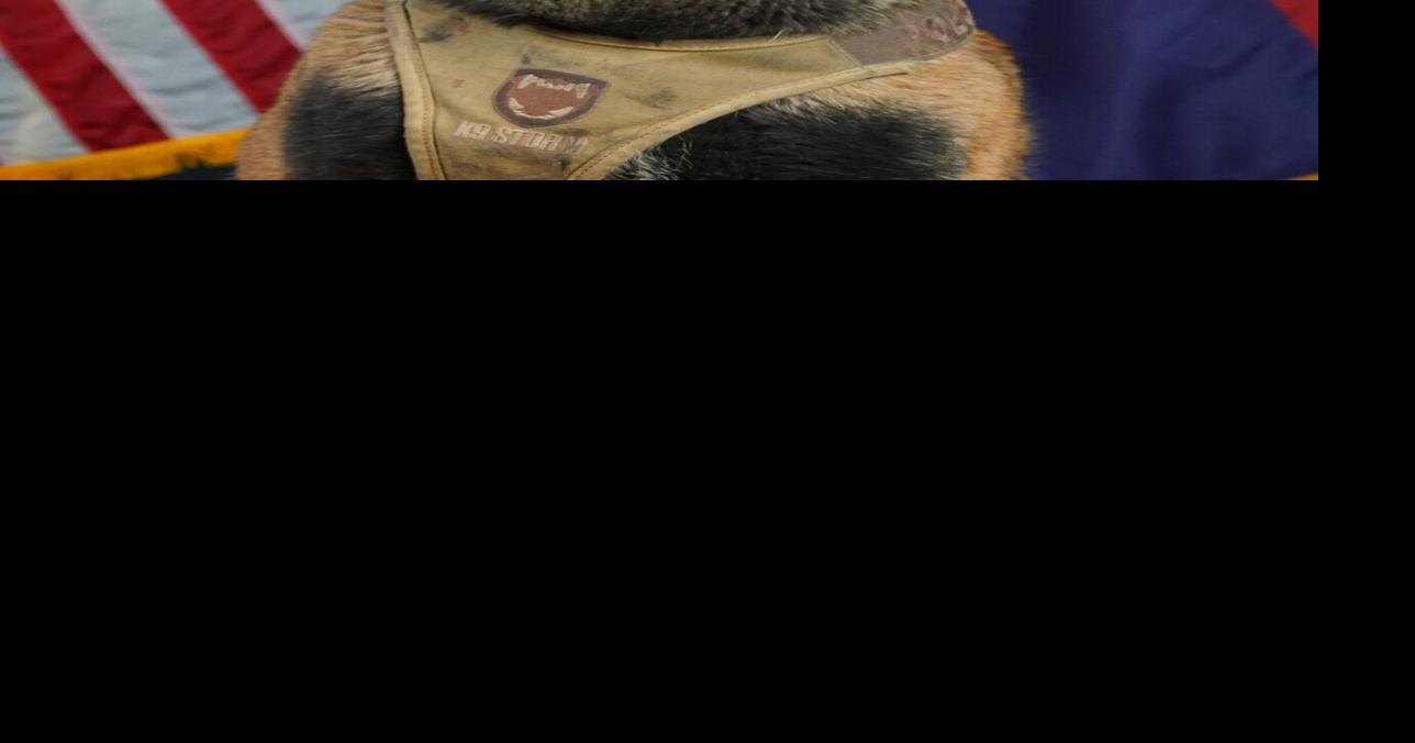 PVPD K-9 Mac passes away unexpectedly, memorial service details coming ...