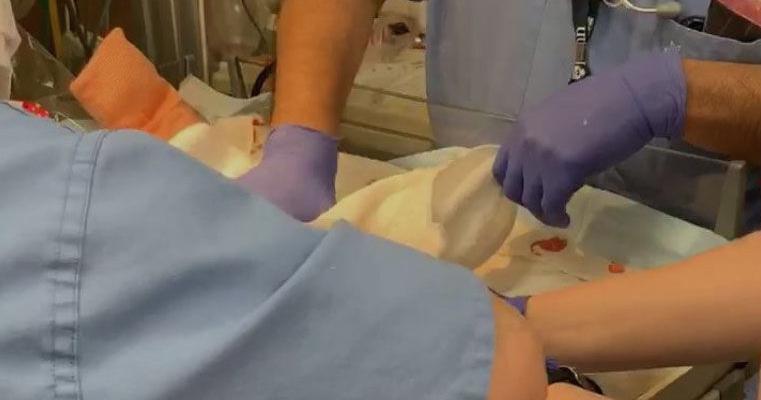 Video shows newborn baby being dropped at Arizona hospital | News ...