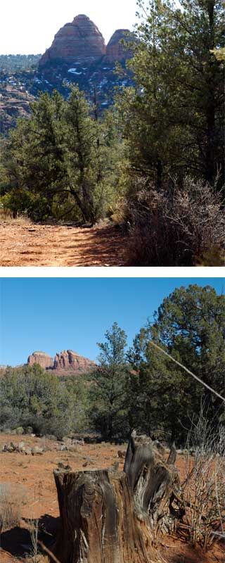 Blog: Sedona's Turkey Creek Trail No. 92 Gives Nature's Lessons 