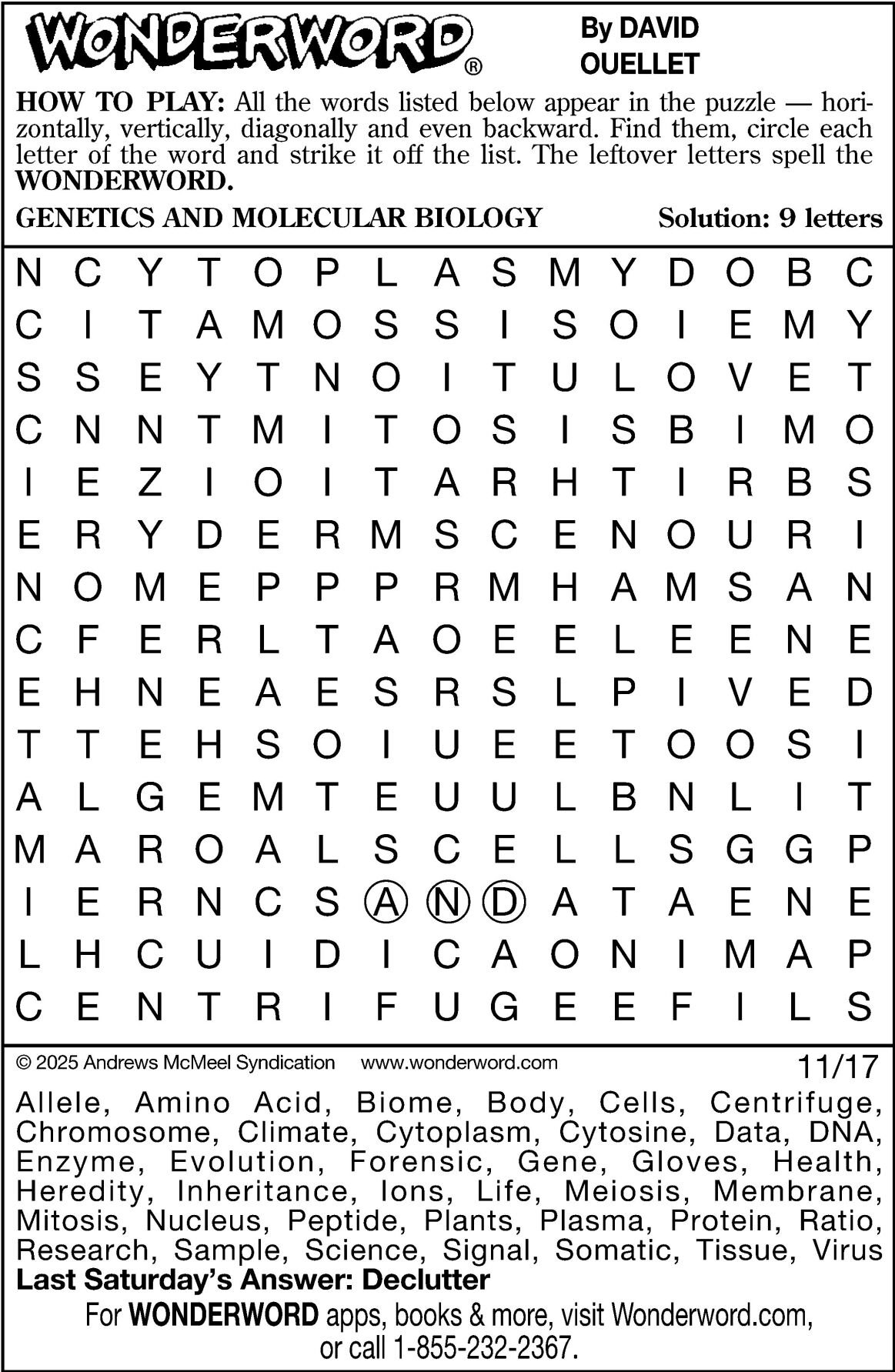 Wonderword puzzles for Week of Nov. 16, 2025 | Multimedia
