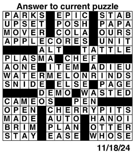 Crossword puzzles for Week of Nov 17 2024 Multimedia dcourier com