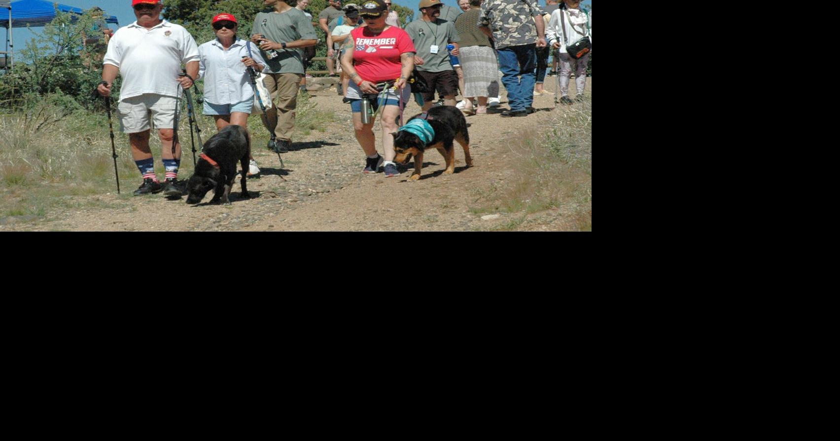 Walking, hiking, weather sense: How to take care of dogs outdoors