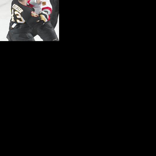 Arizona Sundogs vs New Mexico March 29, 2008 | Features | dcourier.com