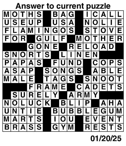 Crossword puzzles for Week of Jan 19 2025 Multimedia dcourier com