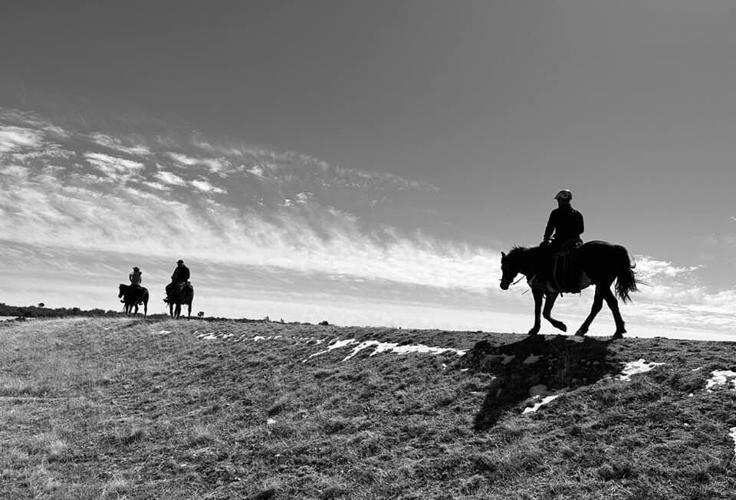 Deep Well Ranch Phippen Museum presents Deep Well Ranch Dinner Program with Jenna James ...