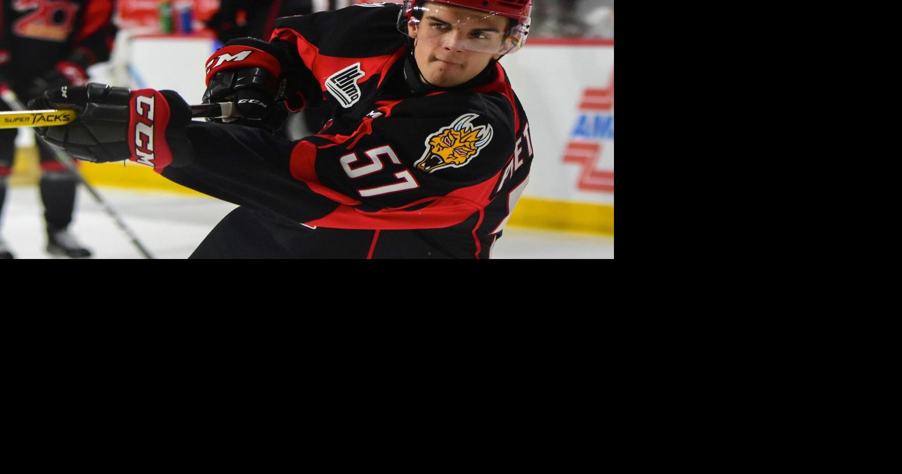 Son of former Arizona Sundogs coach eyes NHL draft | Sports | dcourier.com
