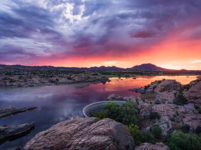 Willow Lake invasive species removal project gets underway | News