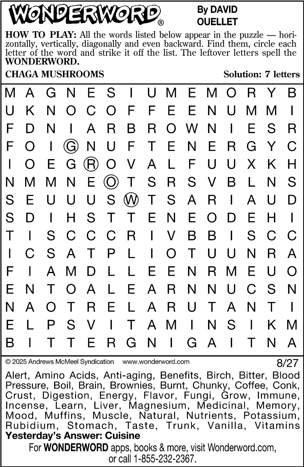 邦楽 Eve WonderWord 邦楽 Eve WonderWord Wonder Word｜DISCOGRAPHY｜Eve - OFFICIAL