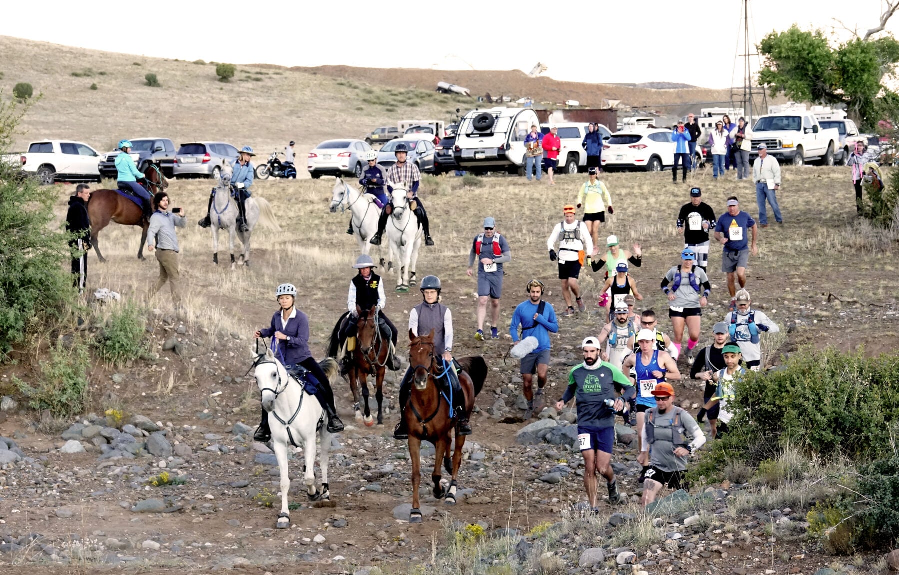 Horses stage a comeback over human competitors | Sports | dcourier.com