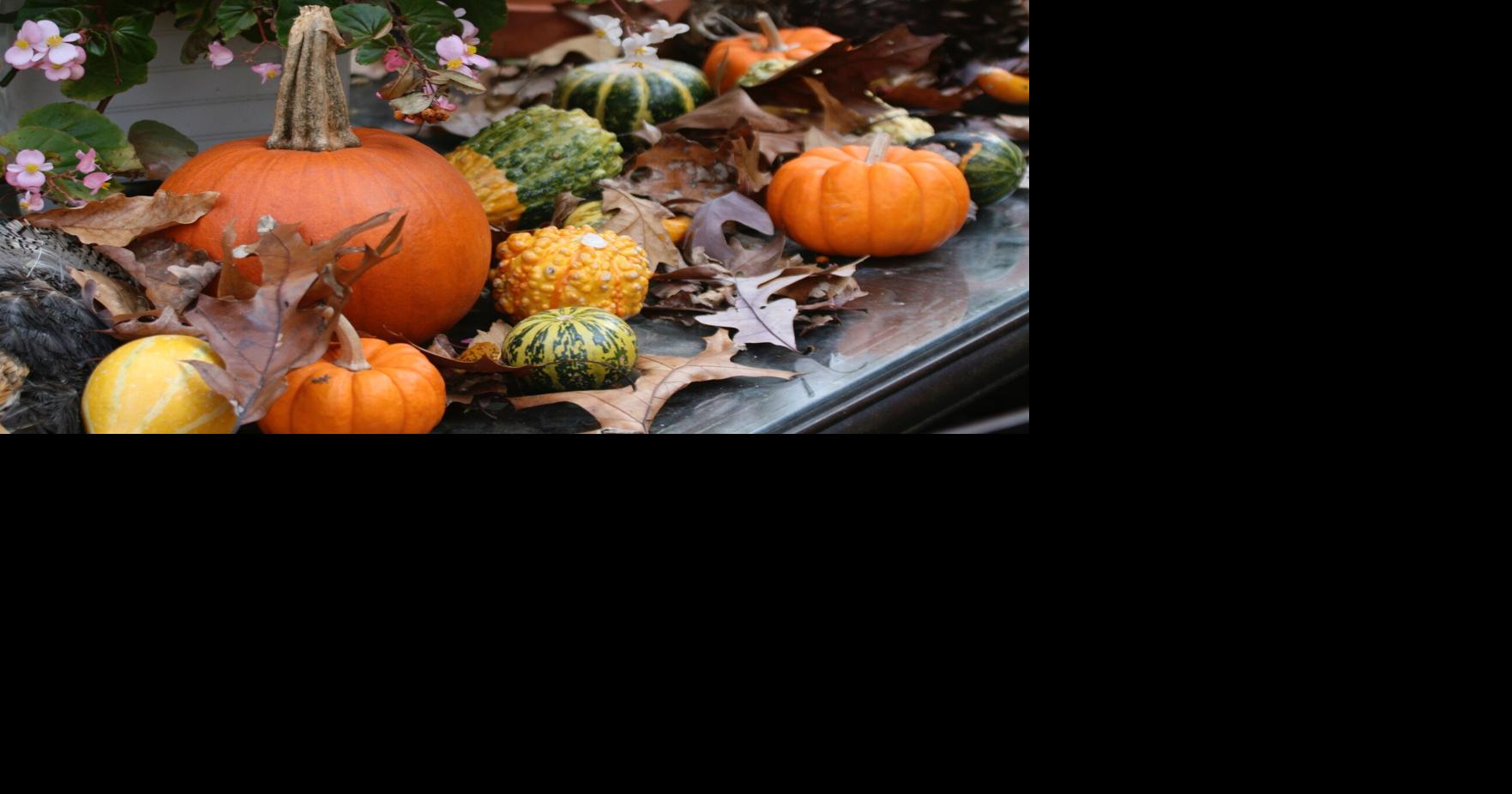 Handle with care: Hard-shelled winter squashes are softies | Features ...
