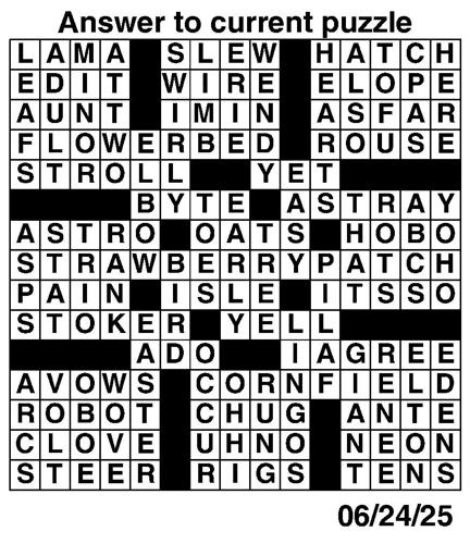 Crossword puzzles for Week of June 22 2025 Multimedia dcourier com
