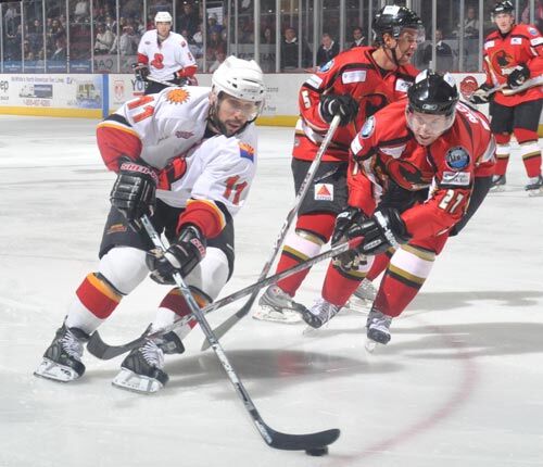 Photo Gallery: Arizona Sundogs Vs Corpus Christi Icerays 11-13-09 ...