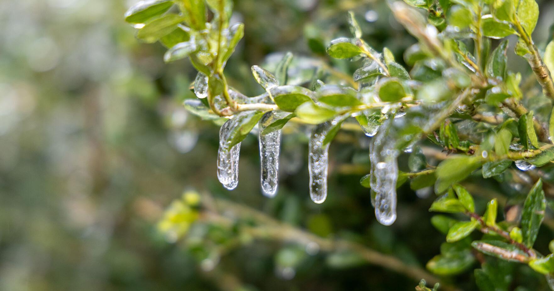Governor sends National Guard to aid in ice storm response