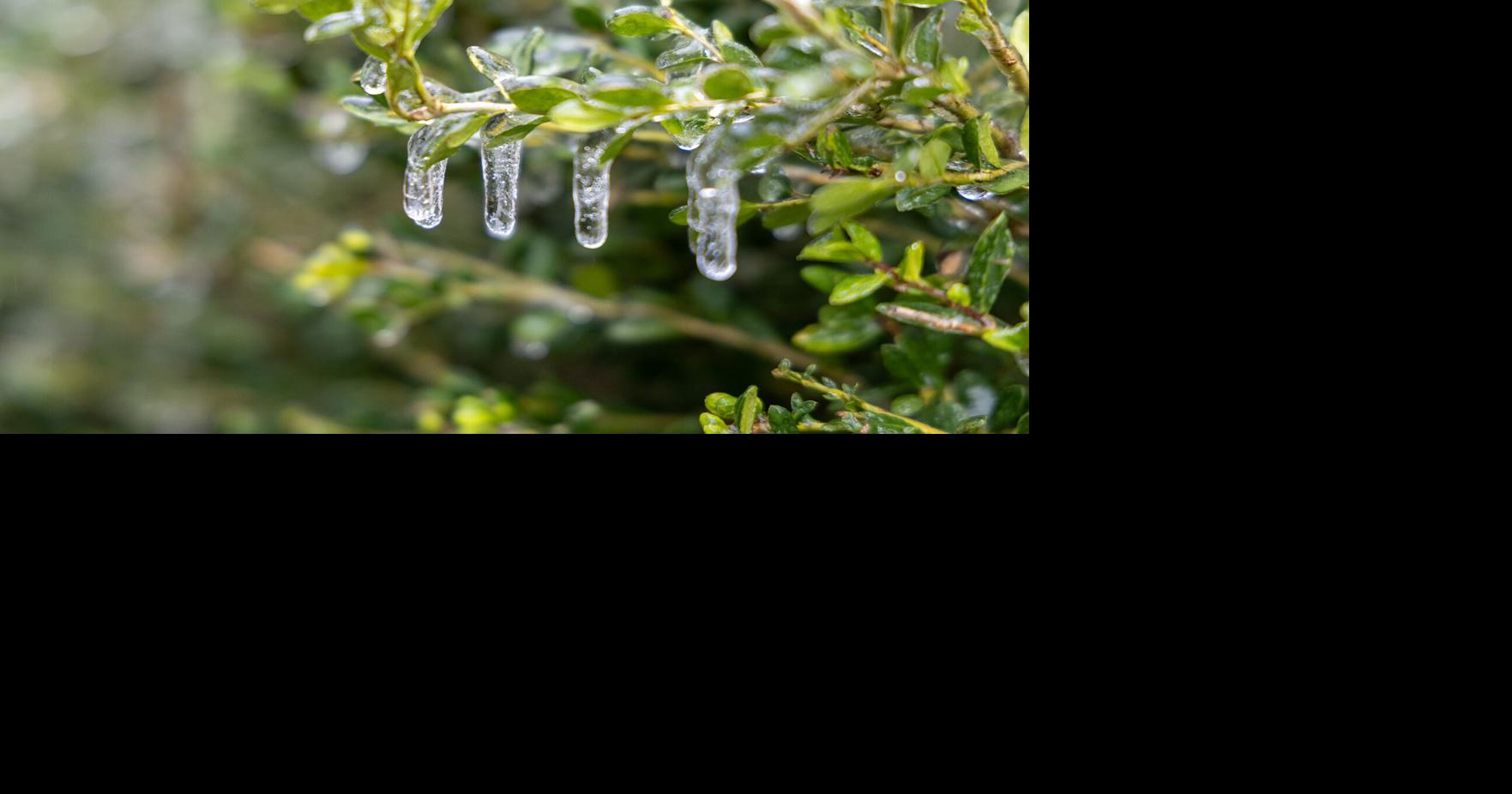 Governor sends National Guard to aid in ice storm response