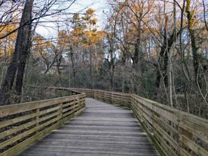PATH trail with cyclists and pedestrians