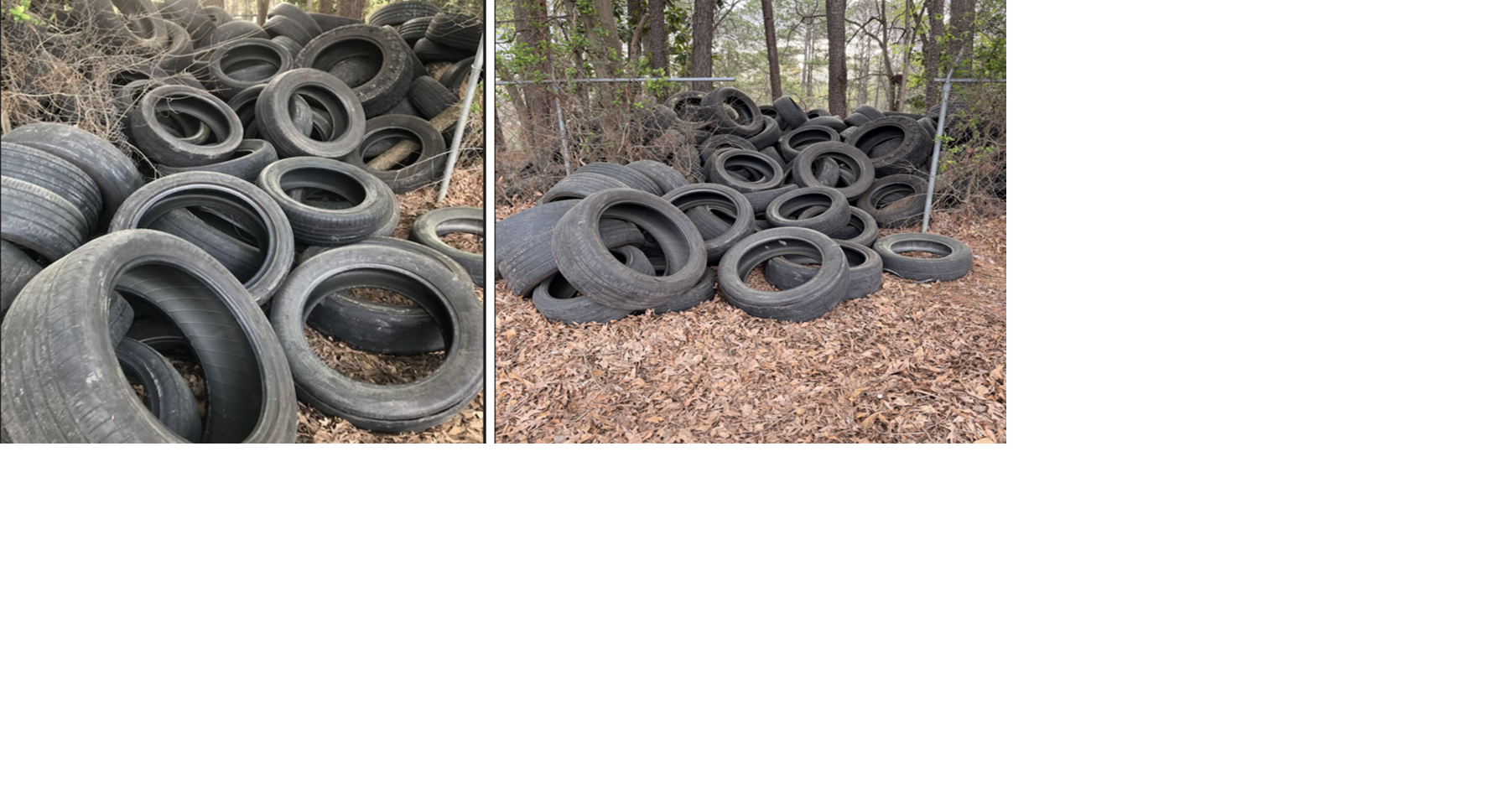DeKalb Police make 10 arrests in illegal tire dumping cases | Public ...