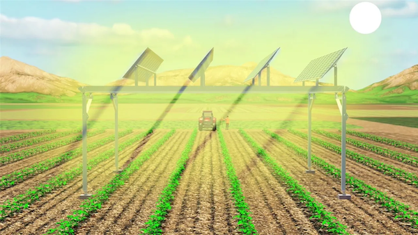 Planted Solar Rig From Spotlight Delaware – Solar on stilts: UD to study how farmland ...