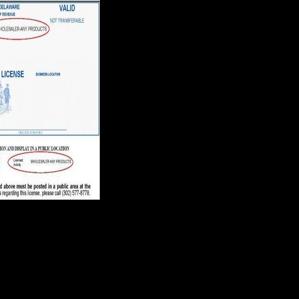 Online Delaware business license renewal now available Archives