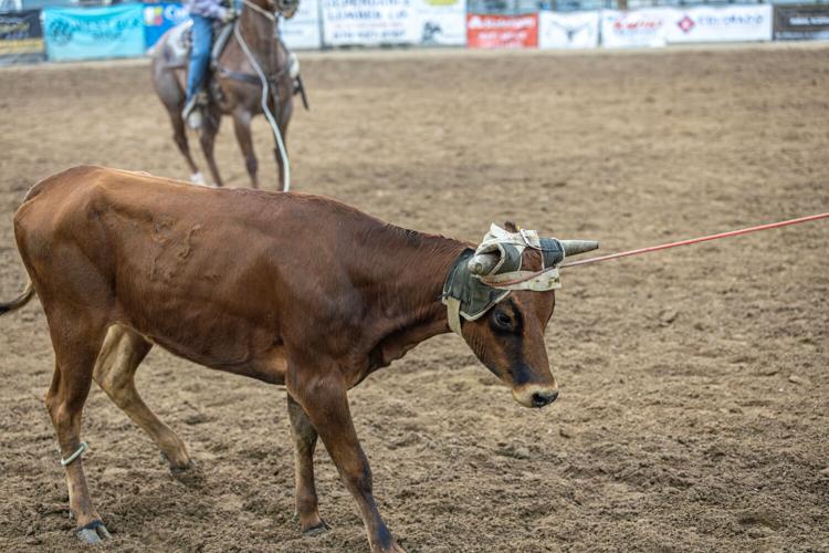 Delta Force Roping In Team Roping Saddle Shoot Out takes off Monday night ...