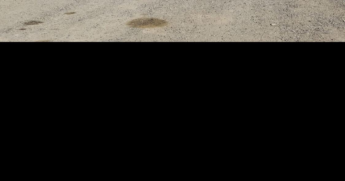 Hotchkiss Elks clean the street News