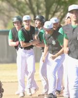 Panthers baseball takes slim victory over undefeated Titans
