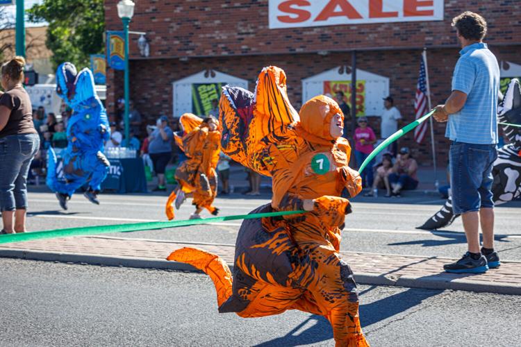 Deltarado Days heats things up News